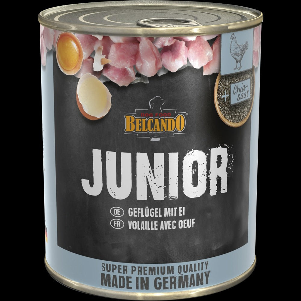 Pack 6 Latas Alimento Húmedo Perro Belcando Junior 800g